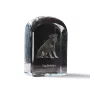 Jagdterrier - crystal cube with a photo, photo of a dog in crystal, cubic paperweight from Art-Dog brand