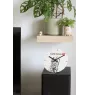 Jack Russell Terrier - wall clock with a dog, shelf clock with a print, personalized home decoration from the Art-Dog brand