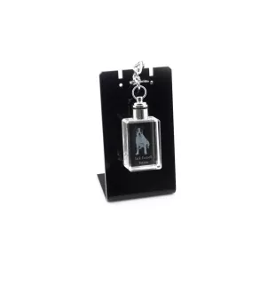 Jack Russell Terrier - Crystal key ring with dog photo, illuminated key ring, unique gift by Art-Dog brand