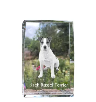 Jack Russell Terrier - Kristall mit einem Hundebild, Bild im Glas, moderne Ausstellung des Art-Dog-Bildes.