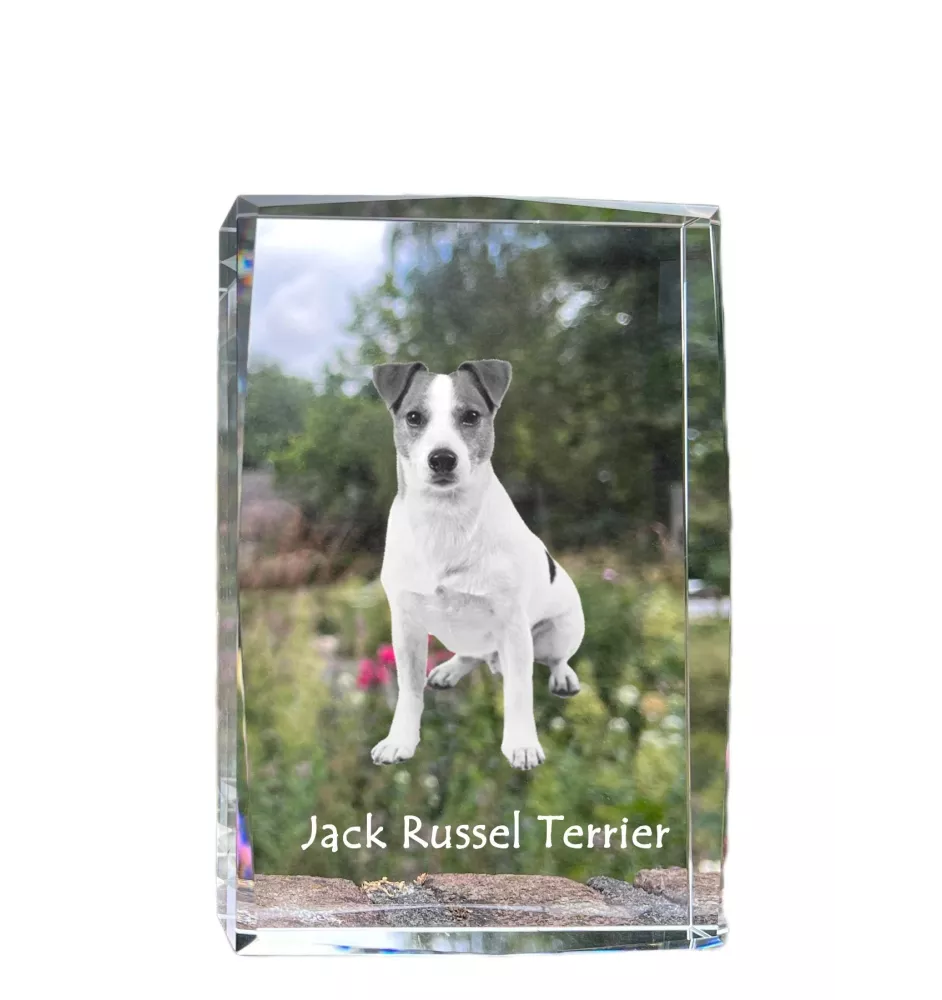 Jack Russell Terrier - cristal avec une photo de chien, photo sous verre, exposition moderne de la marque de photos Art-Dog