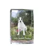 Jack Russell Terrier kryształ z psem Art-Dog