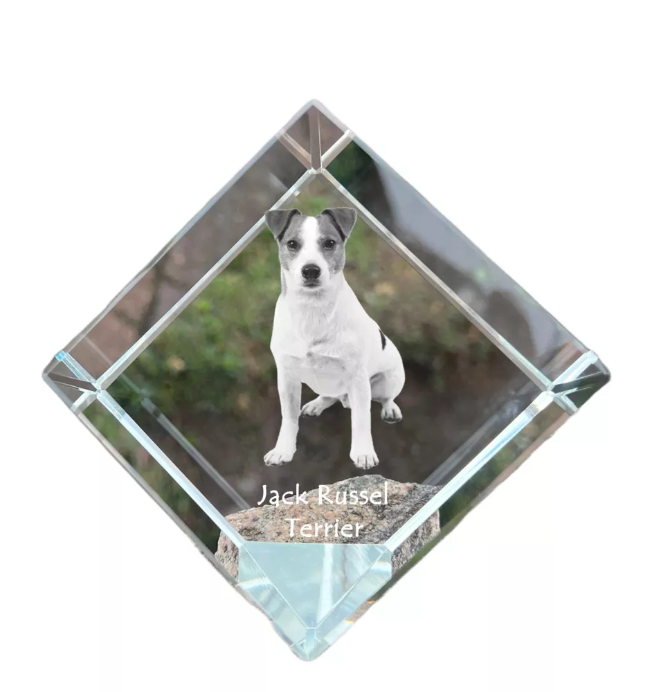 Jack Russell Terrier - crystal cube with a photo, photo of a horse in crystal, cubic paperweight from Art-Dog brand