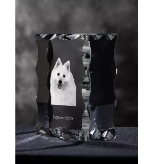 Szpic japoński ramka kryształowa z psem Art-Dog