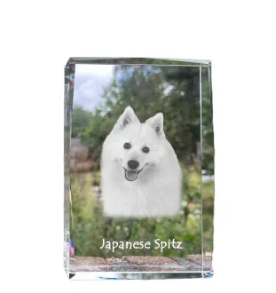 Japan-Spitz, Japanischer Spitz, Nihon Supittsu - Kristall mit einem Hundebild, Bild im Glas, moderne Ausstellung des Art-Dog-Bildes.