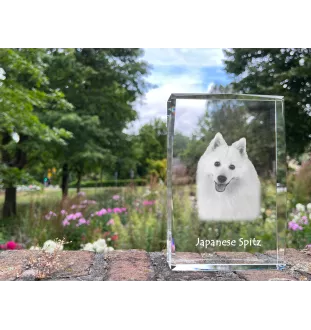Japan-Spitz, Japanischer Spitz, Nihon Supittsu - Kristall mit einem Hundebild, Bild im Glas, moderne Ausstellung des Art-Dog-Bildes.