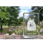 Japanese Spitz, Nihon Supittsu - crystal with a picture of a dog, photo in glass, modern exhibition of Art-Dog brand photo