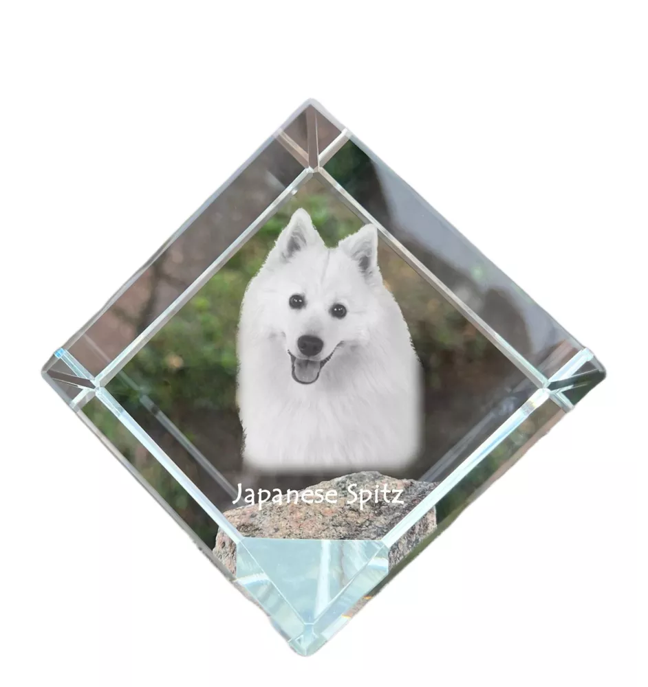 Spitz japonais - un cube de cristal avec une photo, une photo de cheval dans le cristal, un presse-papiers cubique de la marque Art-Dog