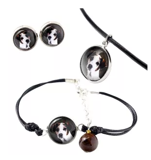 Jack Russell Terrier - ensemble de bijoux dans une boîte, collier, boucles d'oreilles, bracelet, produits de la marque Art-Dog