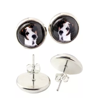 Jack Russell Terrier - earrings in a box, your photo, handmade jewelry, a product of the Art-Dog brand