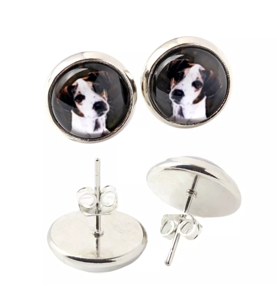 Jack Russell Terrier kolczyki w pudełku ze zdjęciem Art-Dog