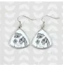 Jack Russell Terrier - dog earrings, hanging earrings with a picture, personalized jewelry with Art-Dog brand print