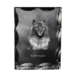 Keeshond, Spitz Loup,  - cristal avec photo de chien, statuette en verre avec photo, cadre exceptionnel avec photo de la marque Art-Dog
