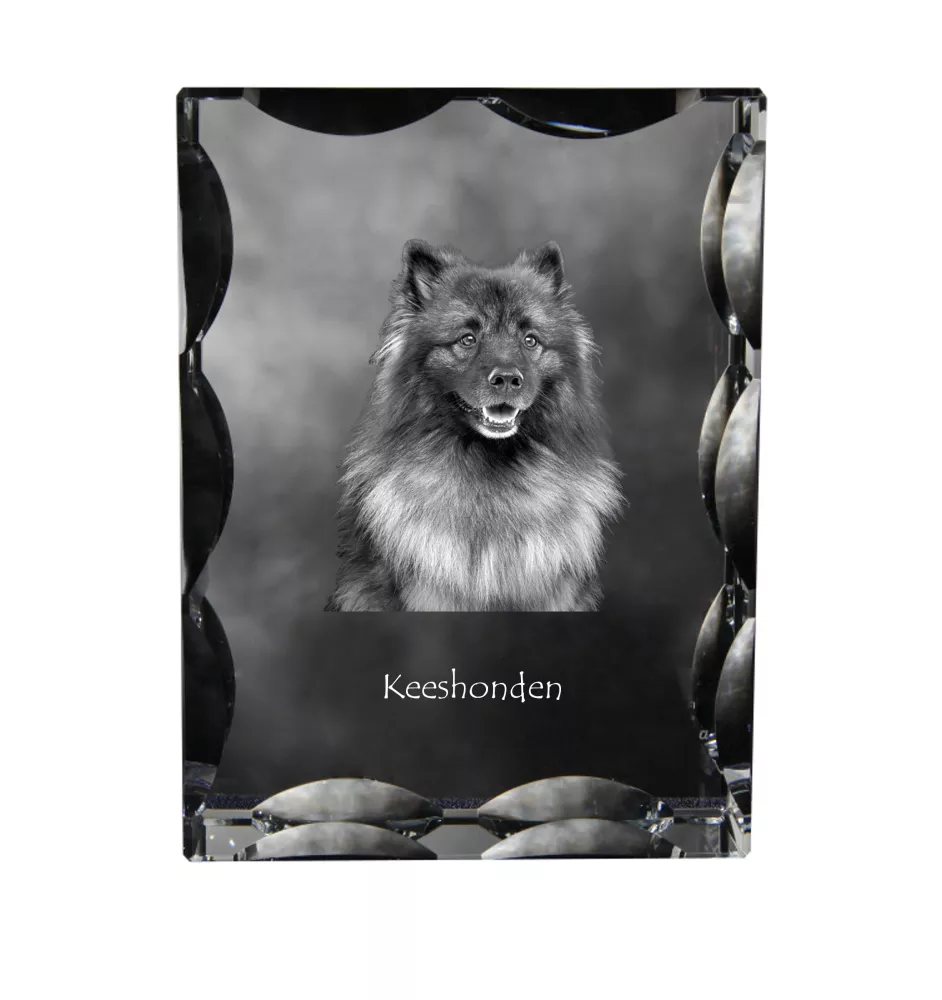 Keeshond, Wolfsspitz, Deutsche Spitze - Kristall mit einem Hundebild, Glasstatuette mit einem Bild, einzigartiger Bilderrahmen der Marke Art-Dog
