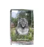 Keeshond, Spitz Loup,  - cristal avec une photo de chien, photo sous verre, exposition moderne de la marque de photos Art-Dog