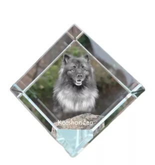 Keeshond, Wolfsspitz, Deutsche Spitze - Kristallwürfel mit Bild, Pferdebild im Kristall, sechseckiger Papierclip der Marke Art-Dog