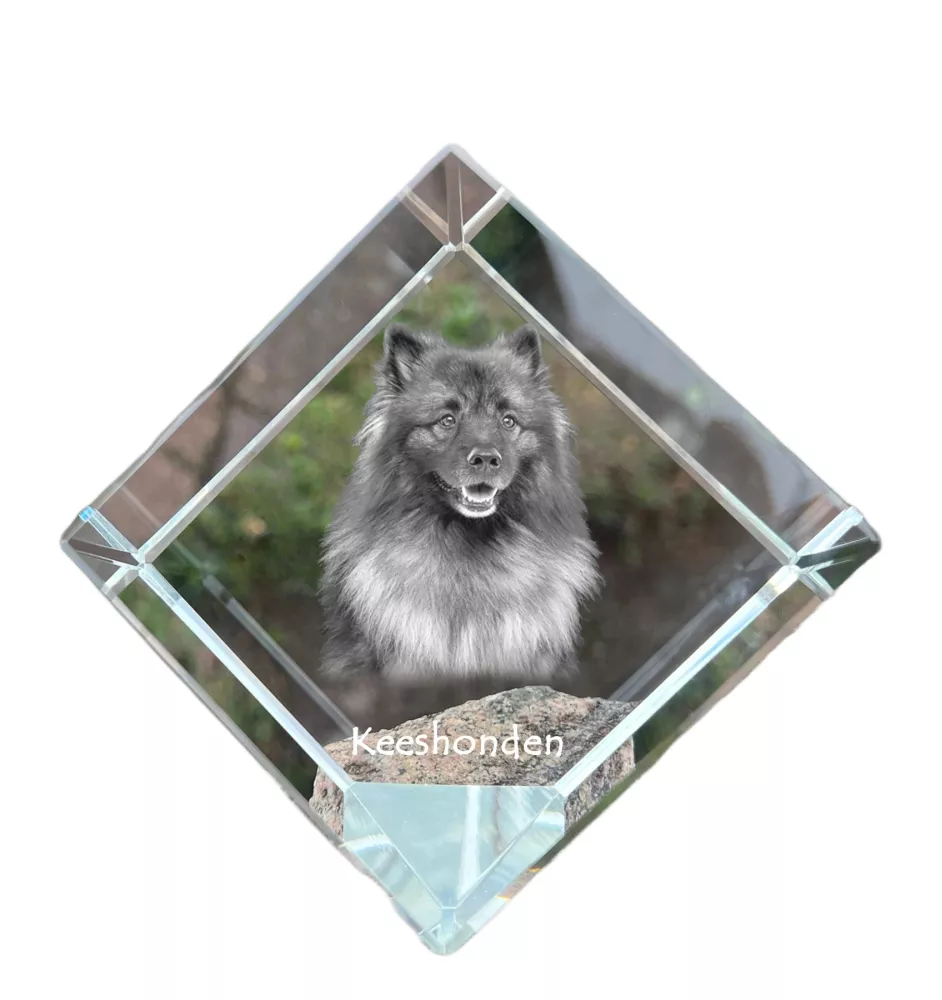 Keeshond, Spitz Loup,  - un cube de cristal avec une photo, une photo de cheval dans le cristal, un presse-papiers cubique de la marque Art-Dog