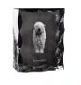 Komondor - Kristall mit einem Hundebild, Glasstatuette mit einem Bild, einzigartiger Bilderrahmen der Marke Art-Dog