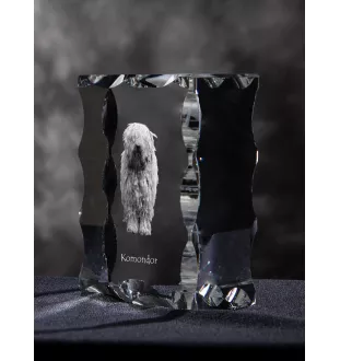 Komondor - Kristall mit einem Hundebild, Glasstatuette mit einem Bild, einzigartiger Bilderrahmen der Marke Art-Dog