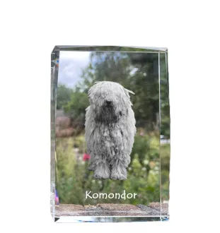 Komondor - Kristall mit einem Hundebild, Bild im Glas, moderne Ausstellung des Art-Dog-Bildes.