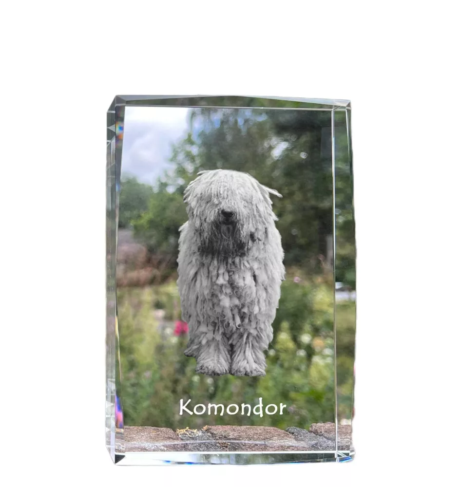 Komondor, Hungarian sheepdog, Mop Dog - crystal with a picture of a dog, photo in glass, modern exhibition of Art-Dog brand photo
