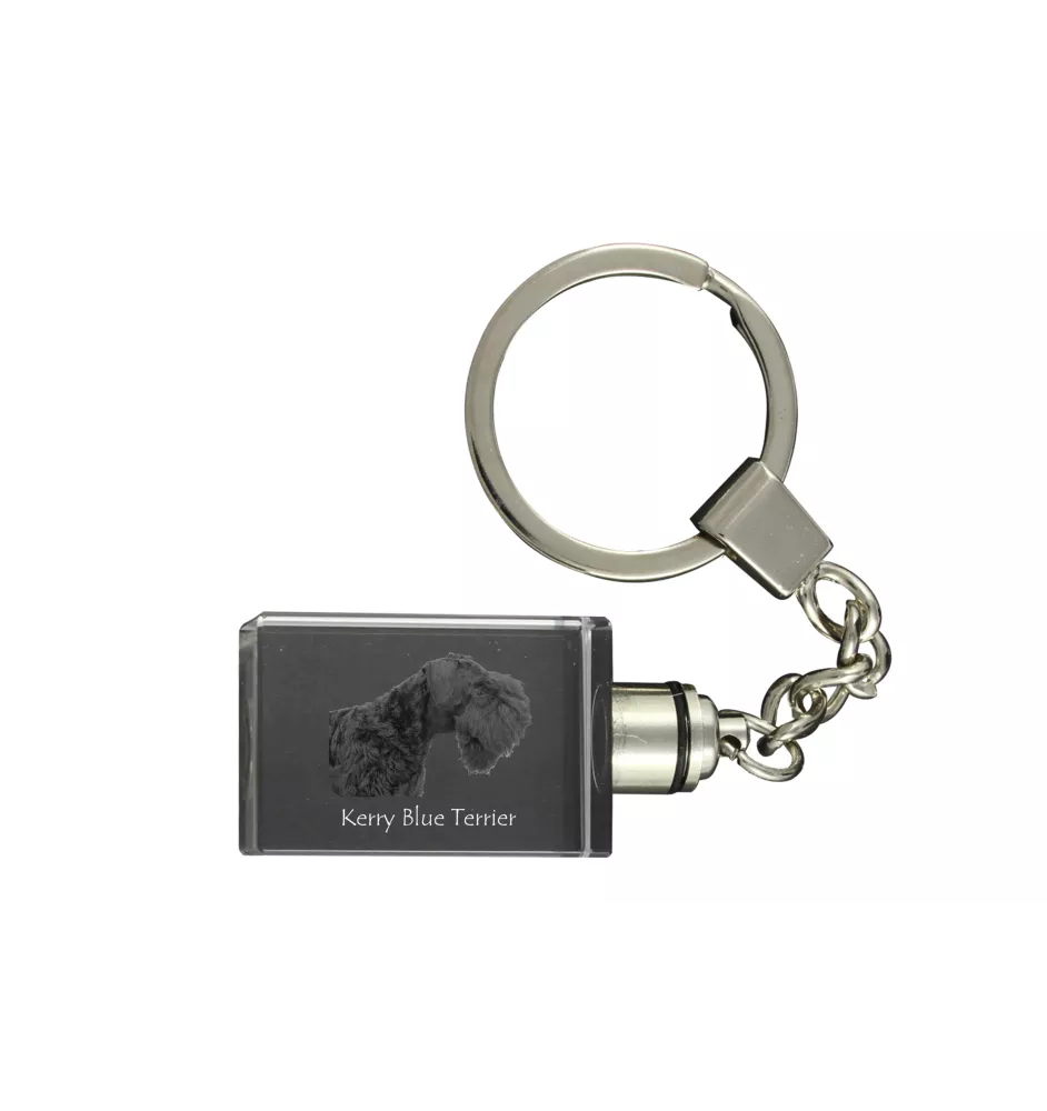 Kerry Blue Terrier, Irish Blue Terrier - Schlüsselanhänger aus Kristall mit Hundefoto, beleuchteter Schlüsselanhänger, einzigartiges Geschenk der Marke Art-Dog