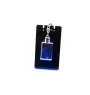 Terrier Kerry Blue - Porte-clés en cristal avec photo de chien, porte-clés lumineux, cadeau unique de la marque Art-Dog