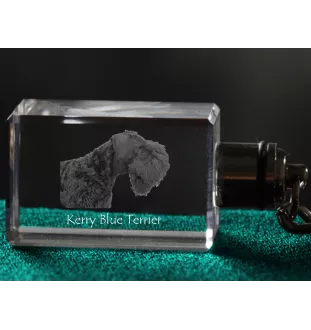 Kerry Blue Terrier, Irish Blue Terrier - Schlüsselanhänger aus Kristall mit Hundefoto, beleuchteter Schlüsselanhänger, einzigartiges Geschenk der Marke Art-Dog
