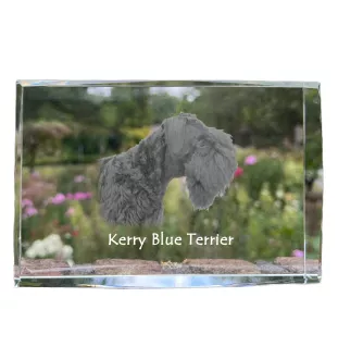 Kerry Blue Terrier, Irish Blue Terrier - Kristall mit einem Hundebild, Bild im Glas, moderne Ausstellung des Art-Dog-Bildes.