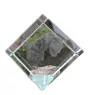Kerry Blue Terrier, Irish Blue Terrier - crystal cube with a photo, photo of a horse in crystal, cubic paperweight from Art-Dog brand