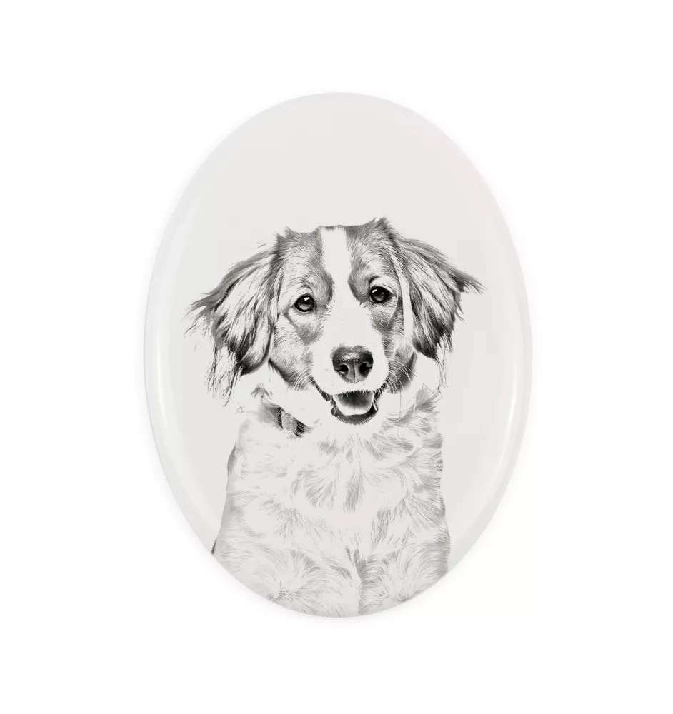 Kooikerhondje - commemorative plaque with a photo of a dog, tombstone with a print, personalized oval plaque from the Art-Dog brand