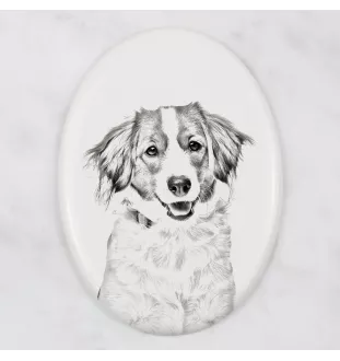 Kooikerhondje - commemorative plaque with a photo of a dog, tombstone with a print, personalized oval plaque from the Art-Dog brand