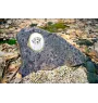 Chien d'eau de la Romagne - une plaque commémorative avec une photo de chien, une plaque funéraire avec une impression, une plaque ovale personnalisée de la marque Art-Dog