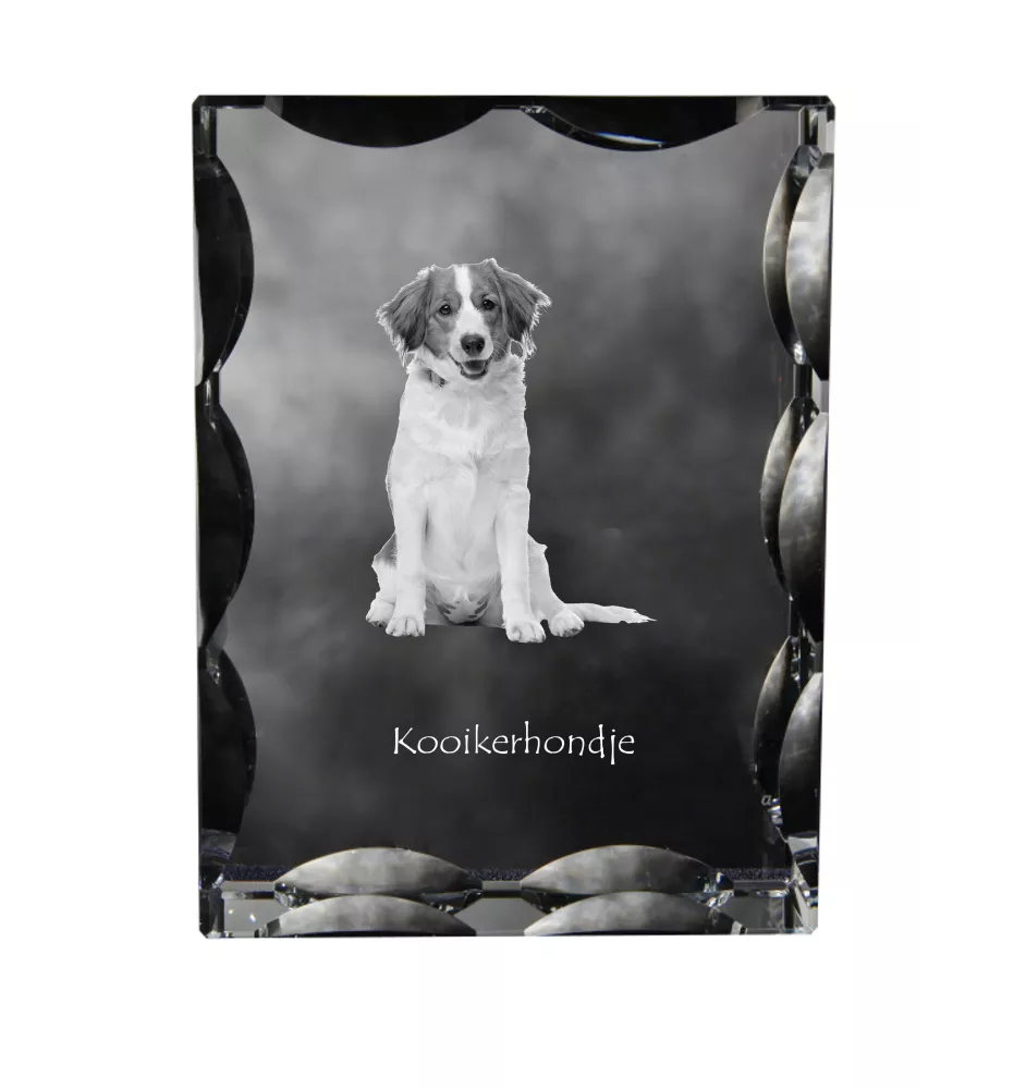 Kooikerhondje - Kristall mit einem Hundebild, Glasstatuette mit einem Bild, einzigartiger Bilderrahmen der Marke Art-Dog