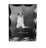 Chien d'eau de la Romagne - cristal avec photo de chien, statuette en verre avec photo, cadre exceptionnel avec photo de la marque Art-Dog