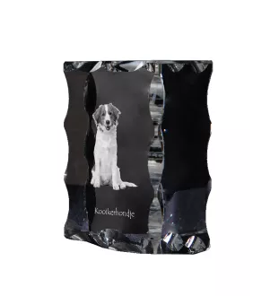 Kooikerhondje - crystal with a picture of a dog, glass statuette with a picture, unique frame with a picture from Art-Dog brand