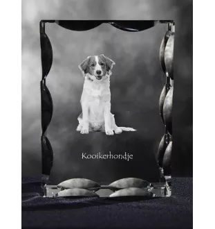Chien d'eau de la Romagne - cristal avec photo de chien, statuette en verre avec photo, cadre exceptionnel avec photo de la marque Art-Dog