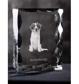 Chien d'eau de la Romagne - cristal avec photo de chien, statuette en verre avec photo, cadre exceptionnel avec photo de la marque Art-Dog