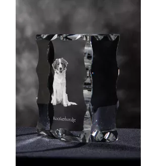 Kooikerhondje - crystal with a picture of a dog, glass statuette with a picture, unique frame with a picture from Art-Dog brand