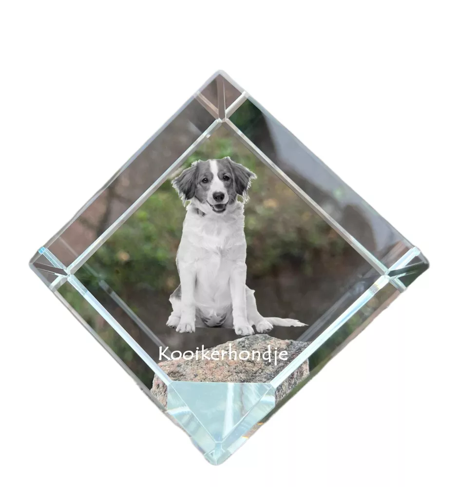 Kooikerhondje - Kristallwürfel mit Bild, Pferdebild im Kristall, sechseckiger Papierclip der Marke Art-Dog