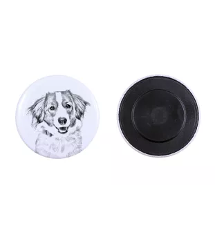 Chien d'eau de la Romagne - aimant avec un œil de chien, exceptionnellement léger, aimant puissant, produit fabriqué à la main par la marque Art-Dog