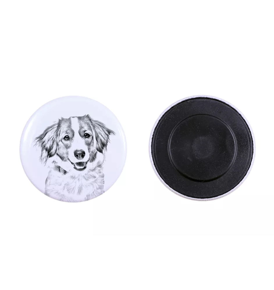 Chien d'eau de la Romagne - aimant avec un œil de chien, exceptionnellement léger, aimant puissant, produit fabriqué à la main par la marque Art-Dog