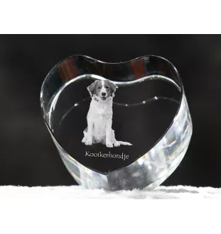 Chien d'eau de la Romagne - une photo de chien dans un cristal, un cœur en cristal, un cadre photo exceptionnel de la marque Art-Dog