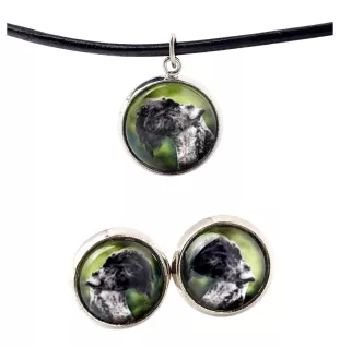 Kerry Blue Terrier, Irish Blue Terrier - jewelry with your photo box, set of necklace and earrings, personalized products from the Art-Dog brand