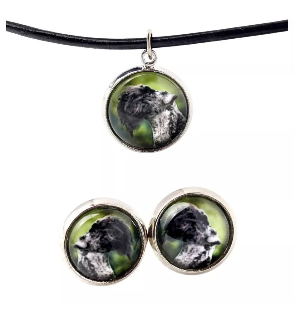 Terrier Kerry Blue - boîte à bijoux avec votre photo, ensemble collier et boucles d'oreilles, produits personnalisés de la marque Art-Dog