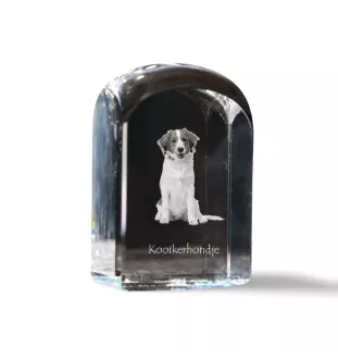 Chien d'eau de la Romagne - un cube de cristal avec une photo, une photo de chien dans le cristal, un presse-papiers cubique de la marque Art-Dog