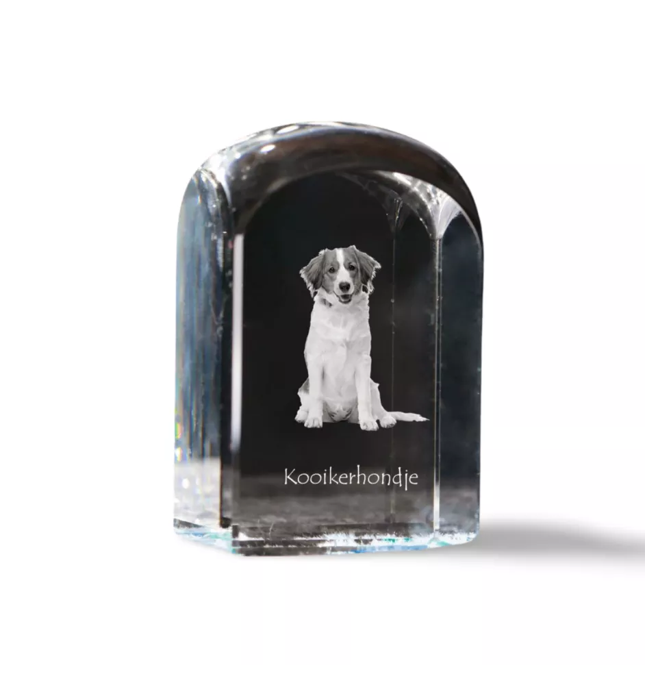 Kooikerhondje - crystal cube with a photo, photo of a dog in crystal, cubic paperweight from Art-Dog brand