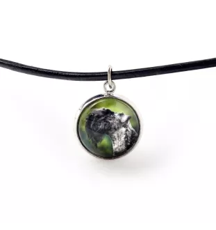 Kerry Blue Terrier, Irish Blue Terrier - jewelry with your photo box, set of necklace and earrings, personalized products from the Art-Dog brand