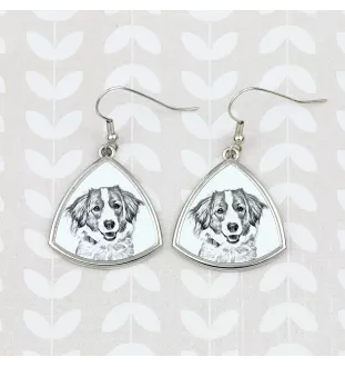 Kooikerhondje - dog earrings, hanging earrings with a picture, personalized jewelry with Art-Dog brand print