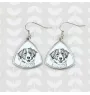 Kooikerhondje - dog earrings, hanging earrings with a picture, personalized jewelry with Art-Dog brand print